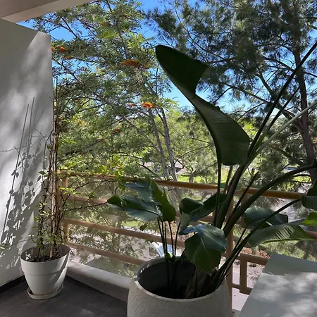 Sun Retreat